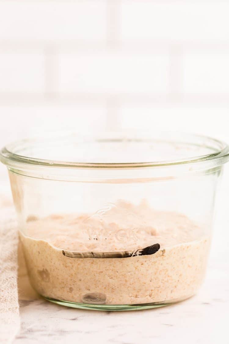 Sourdough starter in a weck jar.