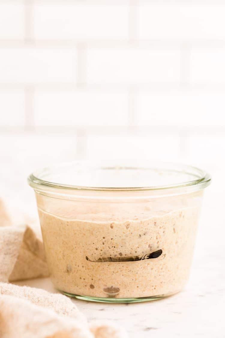 Sourdough starter in a weck jar.