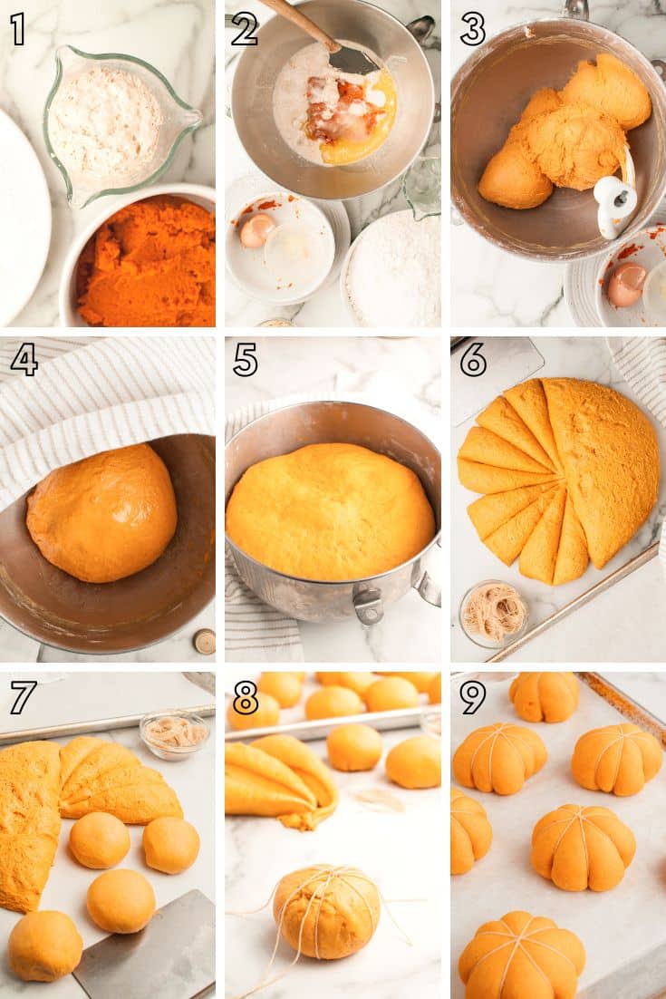 Step by step photo collage showing how to make pumpkin shaped dinner rolls.