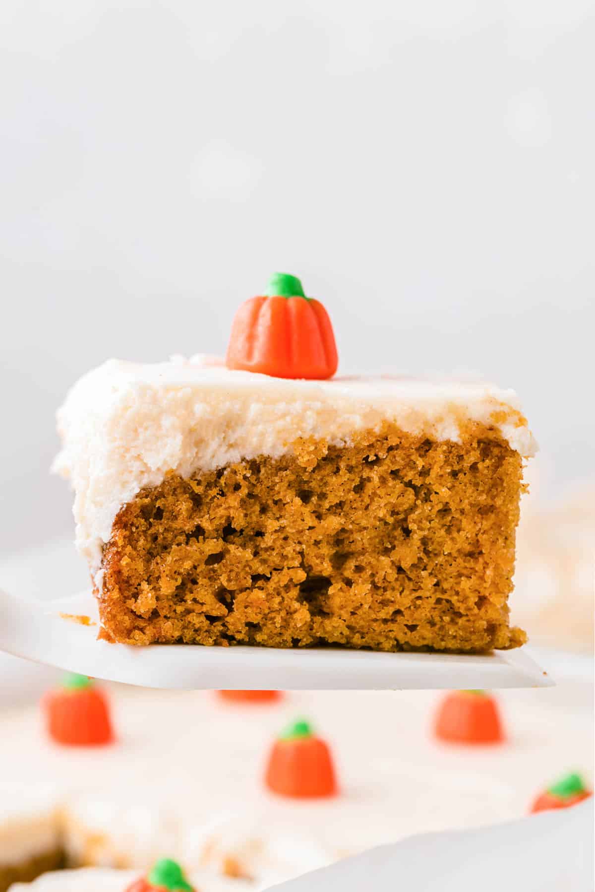 A spatula lifting a piece of pumpkin sheet cake out of the pan.