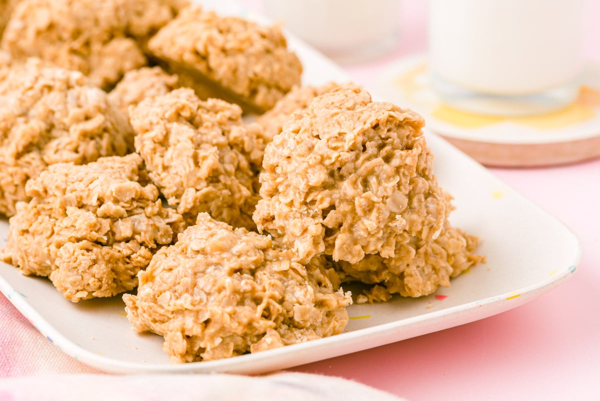 Cookie Butter No Bake Cookies Sugar and Soul