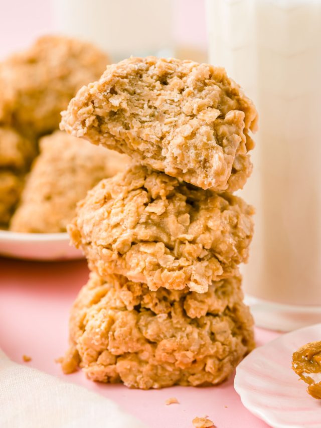 Cookie Butter No Bake Cookies Story Sugar and Soul