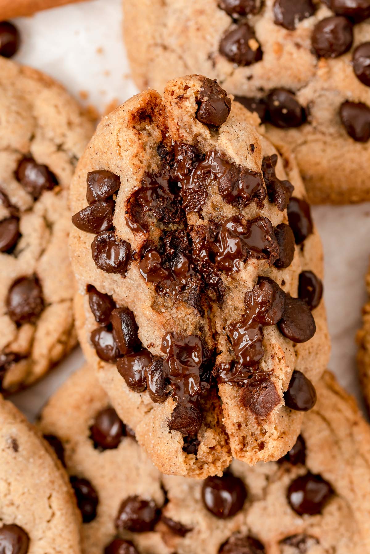 Close up of a cinnamon chocolate chip cookie broken in half with the center facing towards the camera.