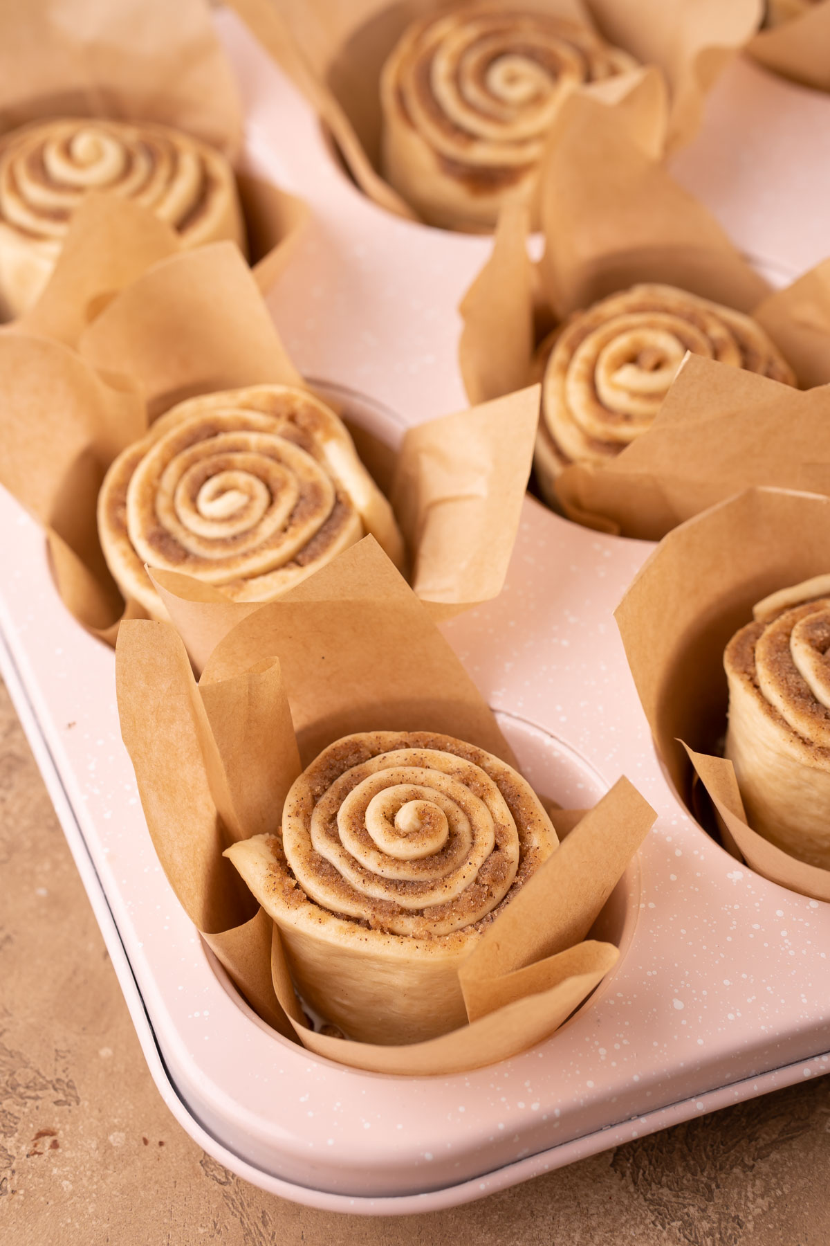 Cinnamon rolls have been rolled up and put in muffins tins ready to bake.