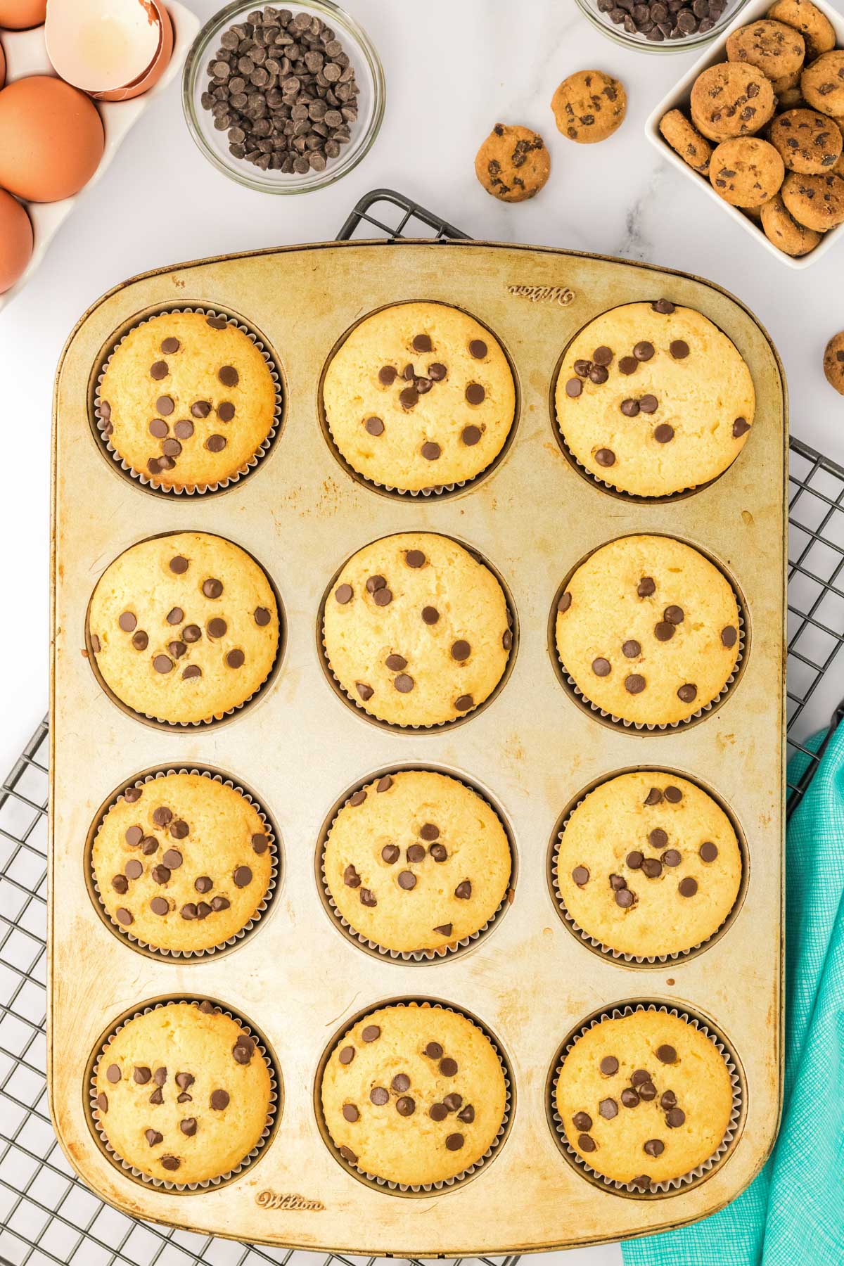 Chocolate chip cupcakes in a cupcake pan.