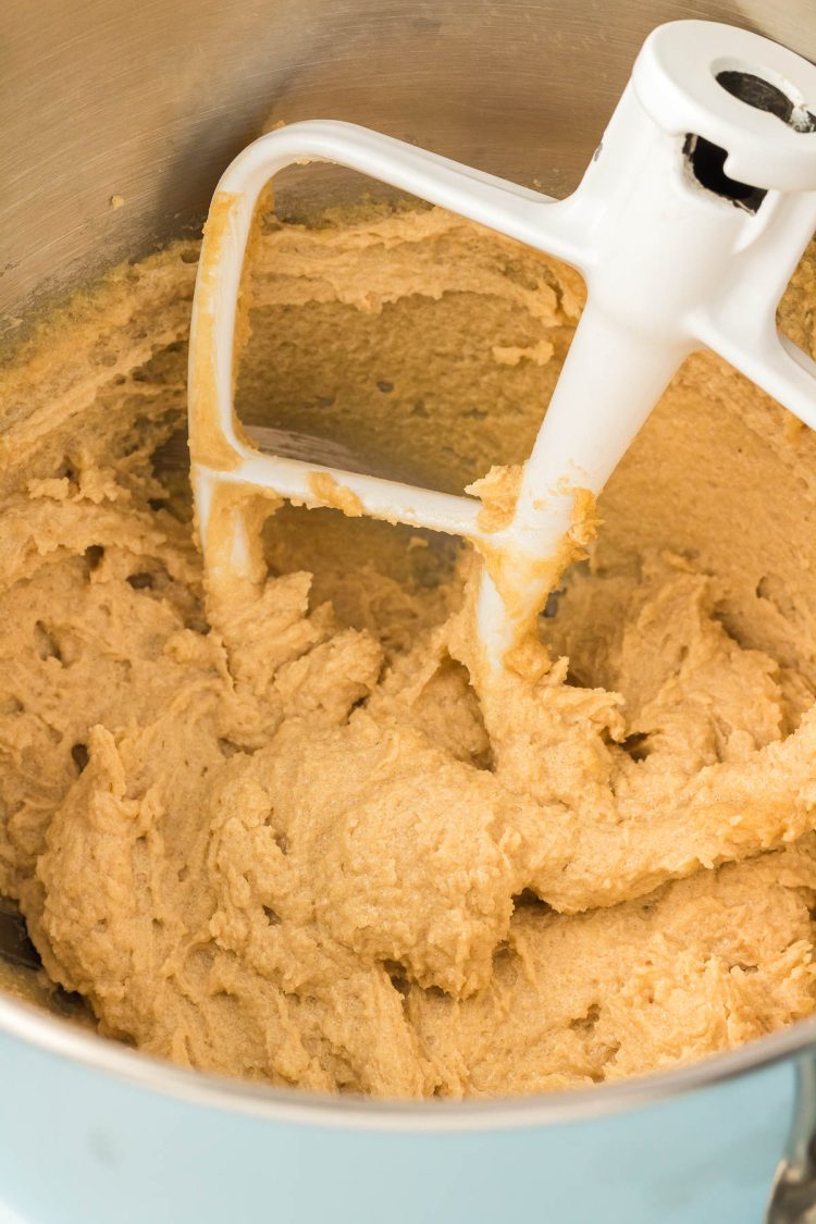 Butter and sugar has been creamed together in a bowl with a paddle attachment.