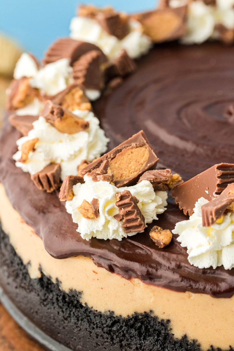 Peanut butter cheesecake closeup.