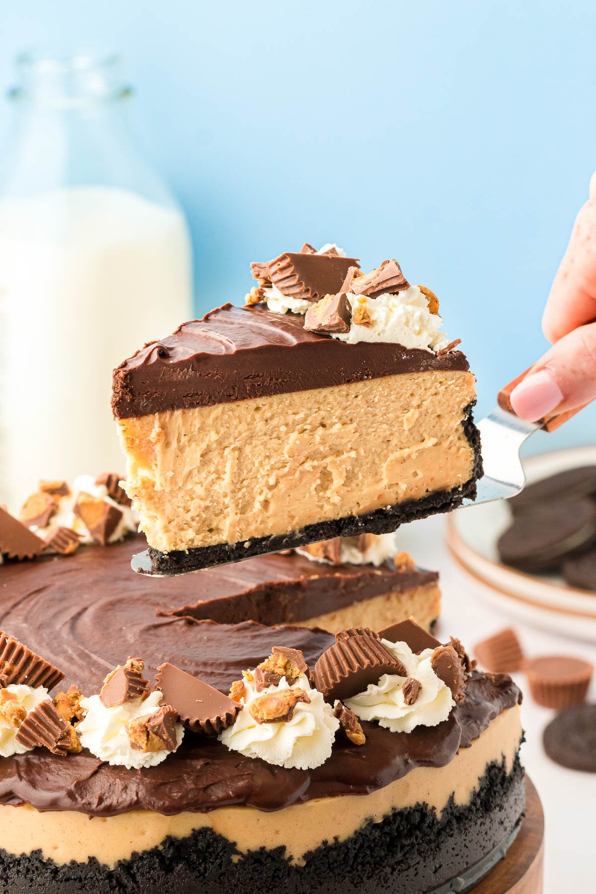 A slice of peanut butter cheesecake being lifted away from the cheesecake on a serving spatula.