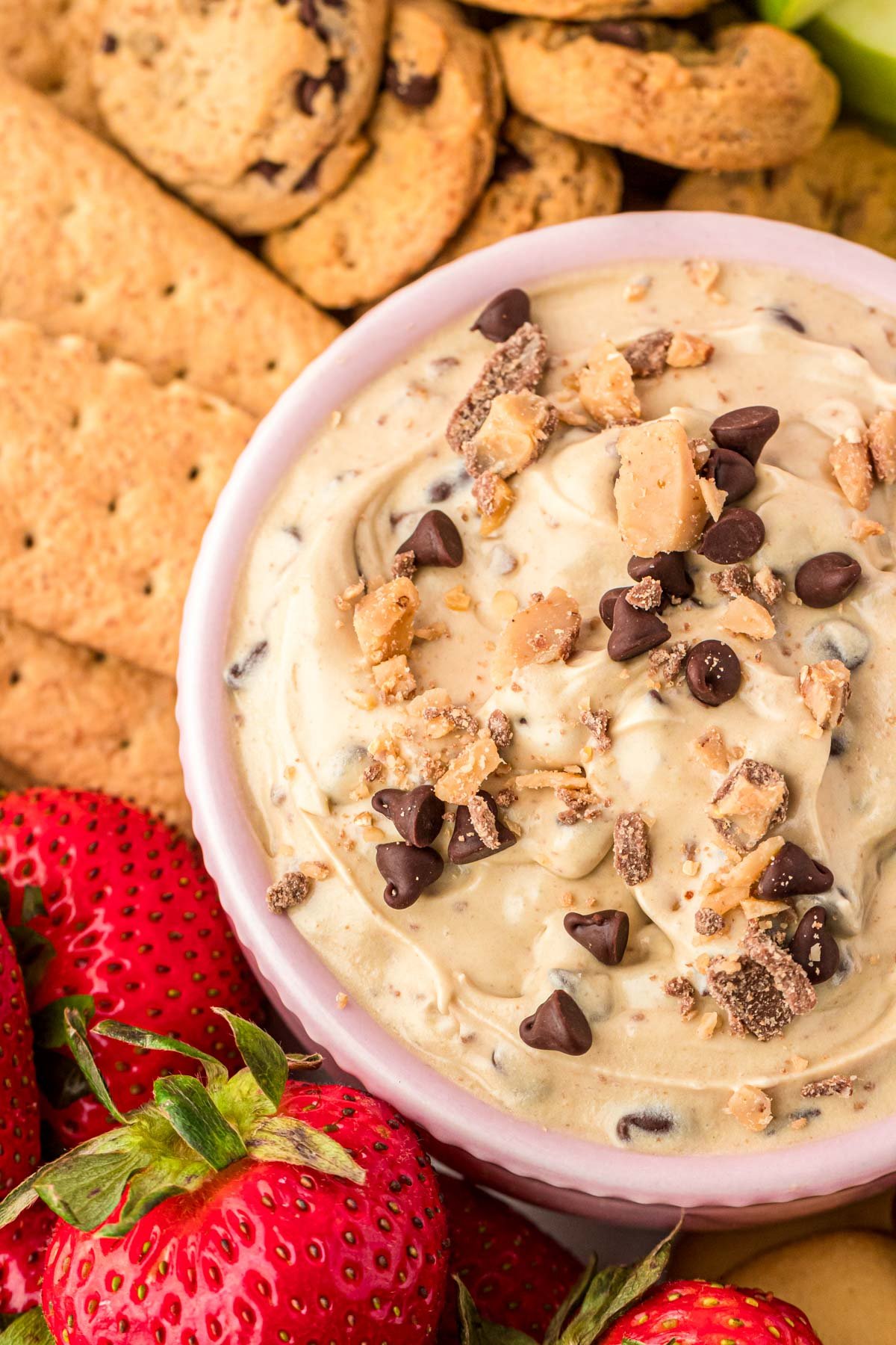 Close up of a bowl of chocolate chip dip.