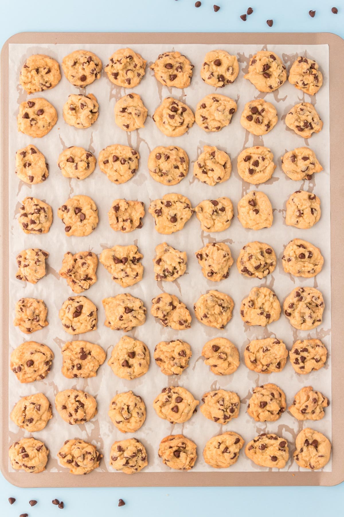 Mini chocolate chip cookies on a baking sheet.