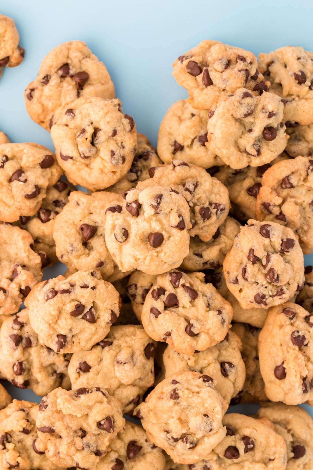 A pile of mini chocolate chip cookies on a blue surface.