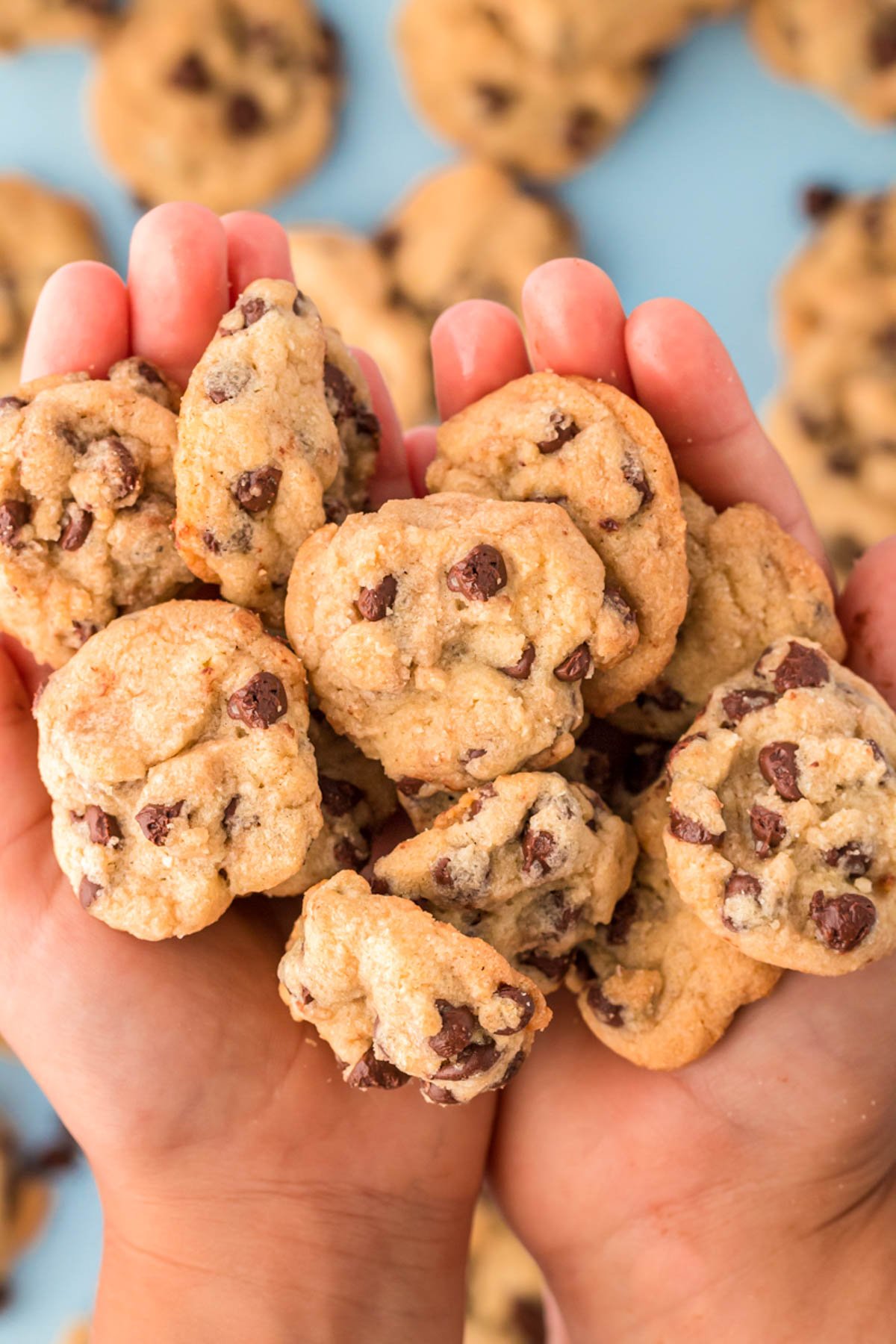 Hands holding up mini chocolate chip cookies.