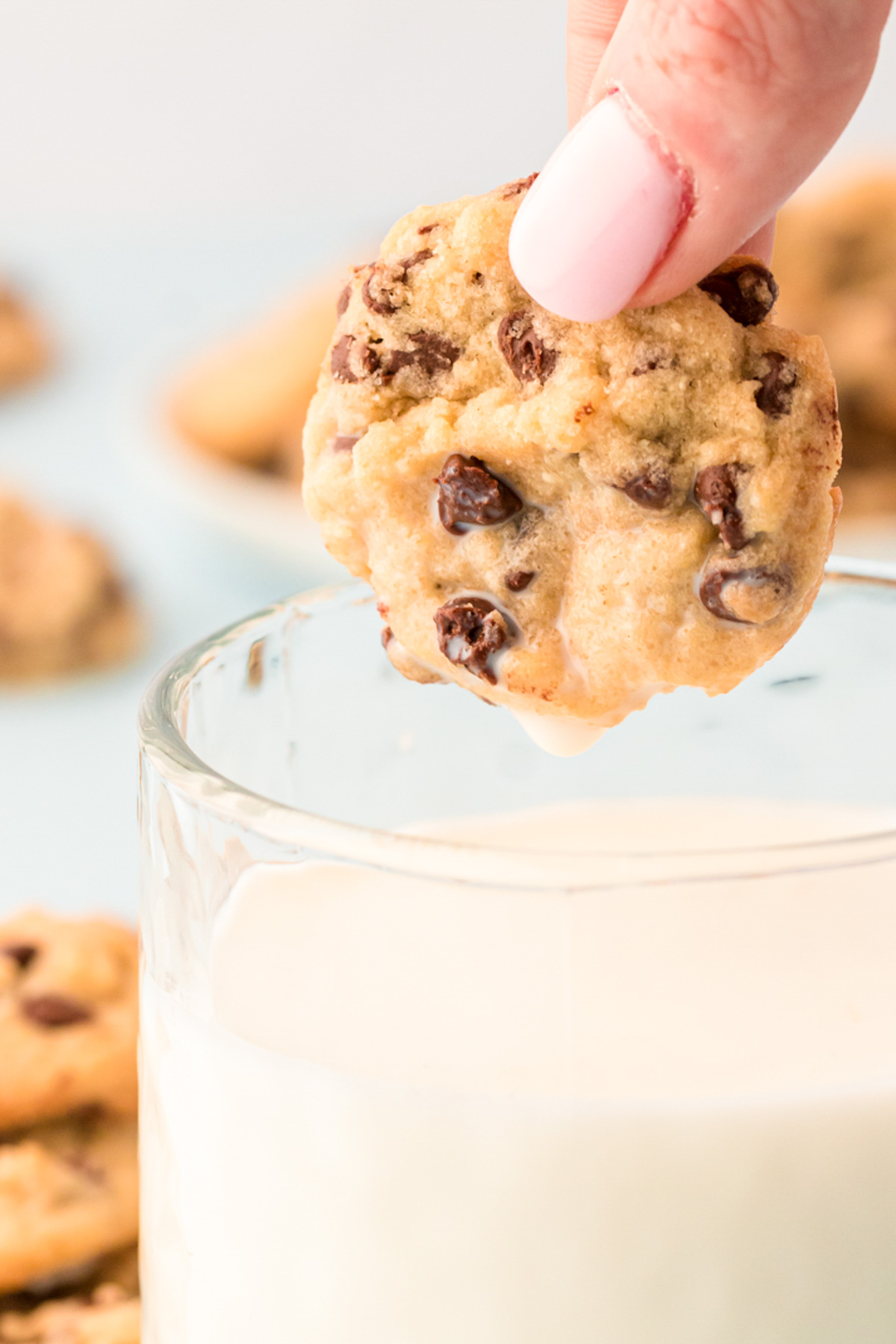 Mini chocolate chip cookie being dipped in a glass of milk.