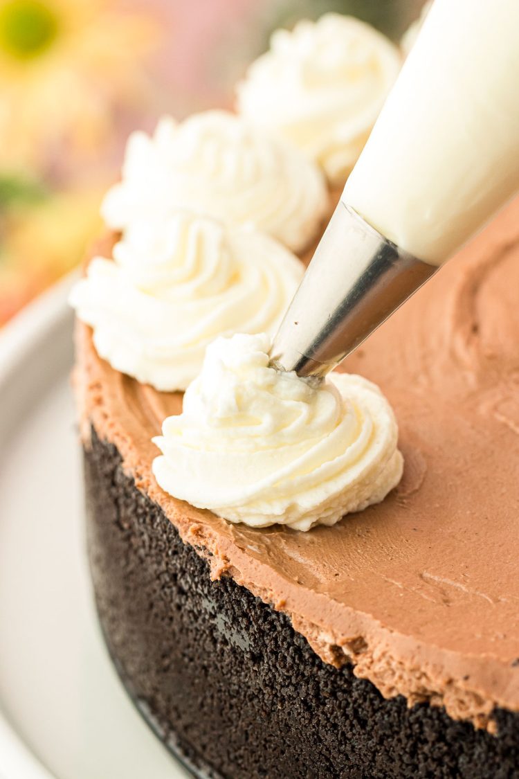 Whipped cream being piped onto chocolate no bake cheesecake.