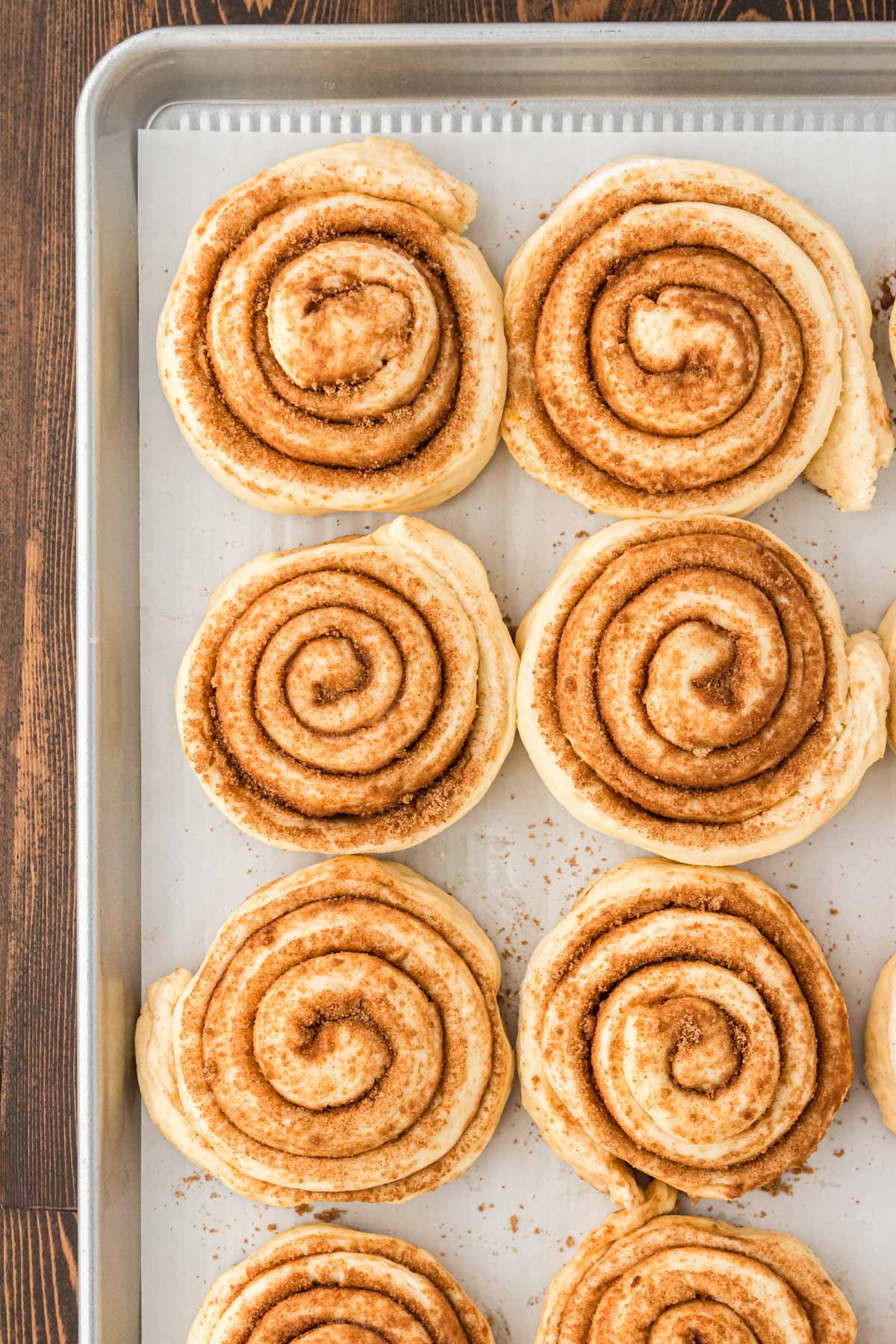 Cinnamon rolls on a parchment lined baking sheet.