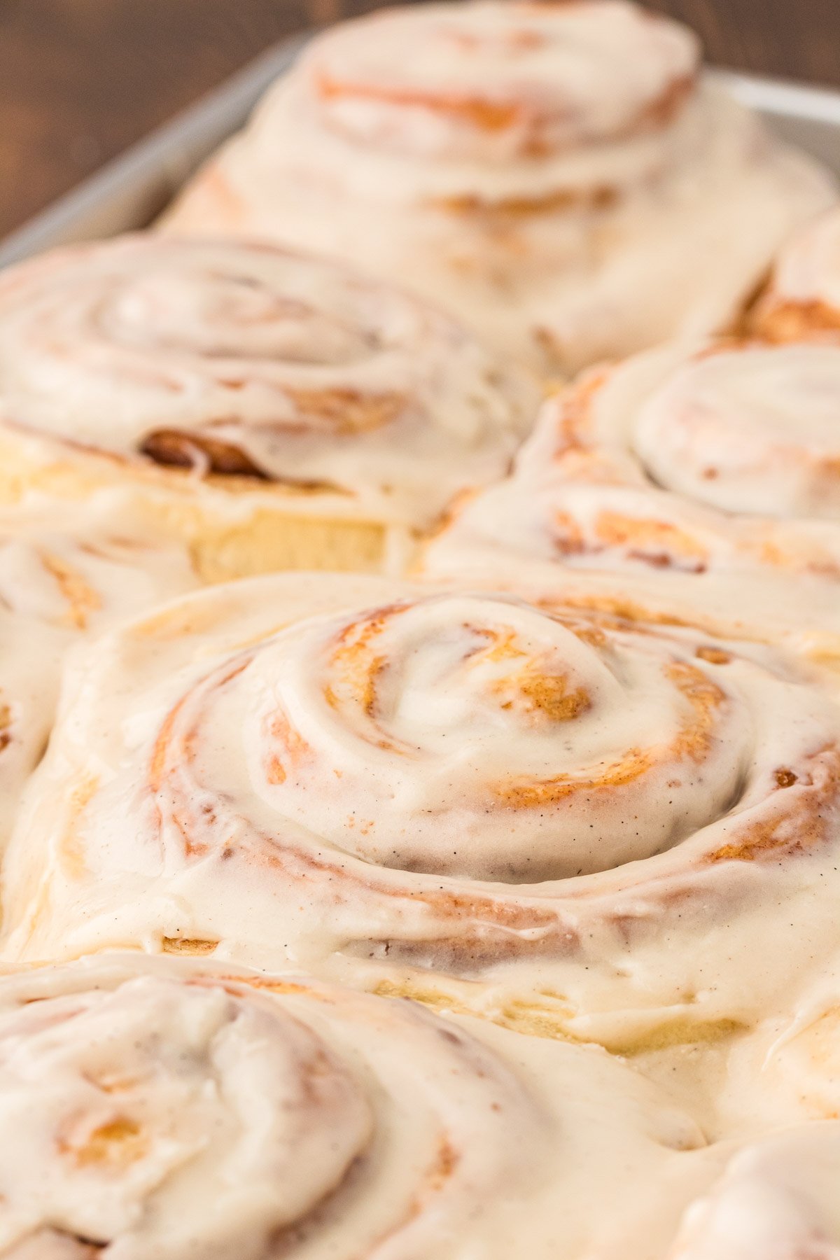 Close up of a pan of fresh cinnamon rolls.