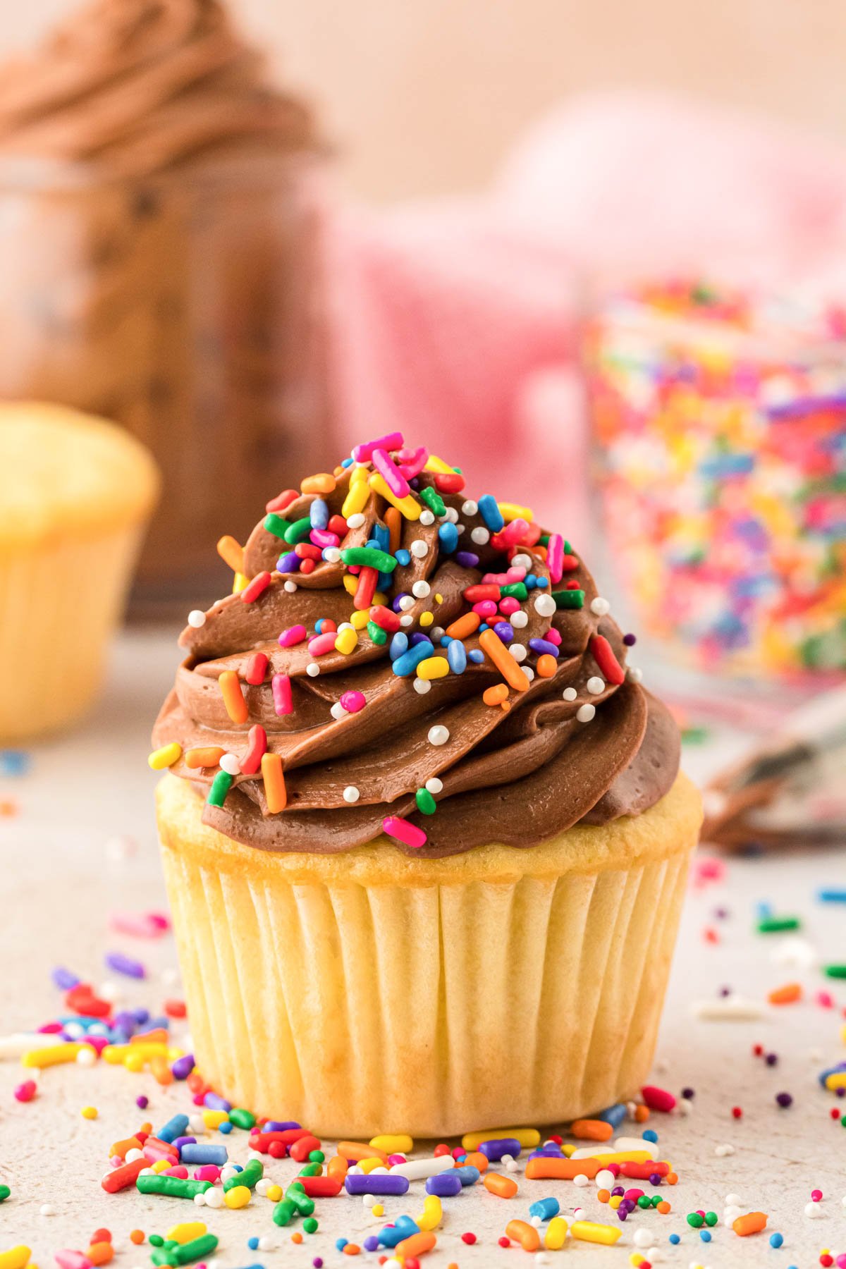 Yellow cupcakes with chocolate frosting and rainbow sprinkles.