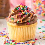 Yellow cupcakes with chocolate frosting and rainbow sprinkles.