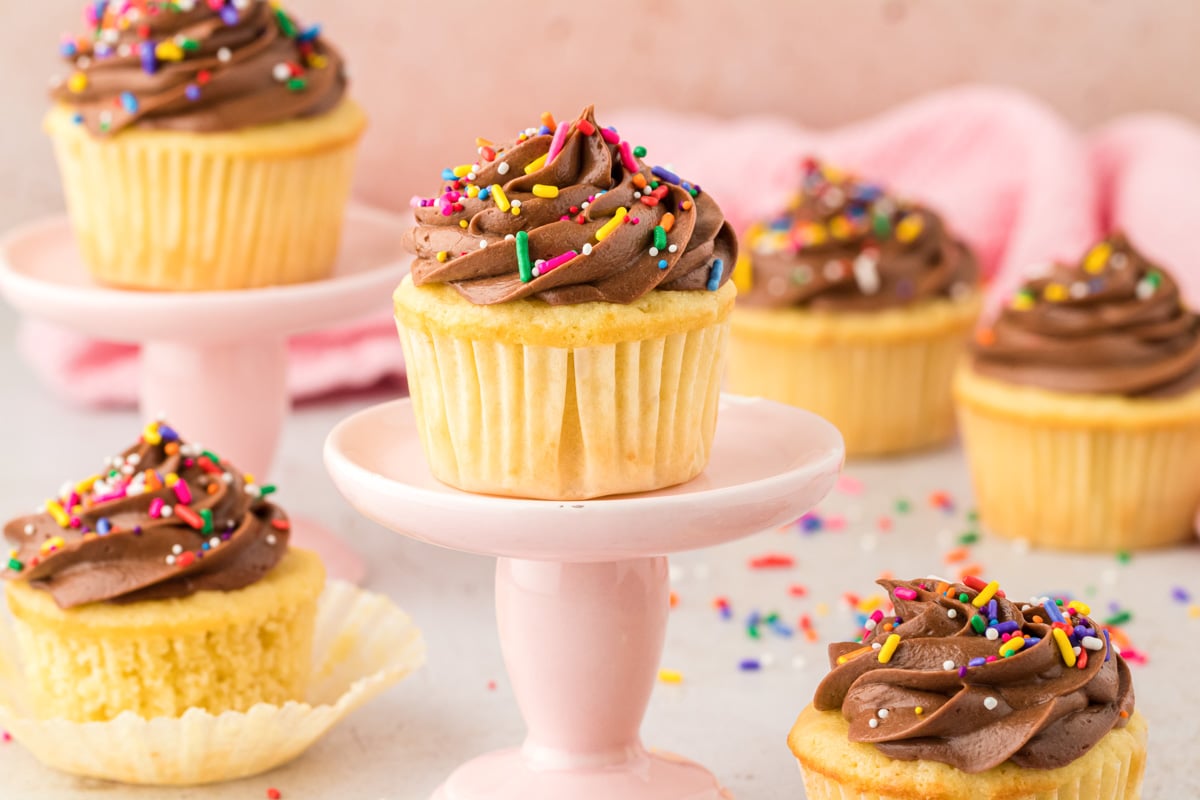 Yellow cupcakes with chocolate frosting. 