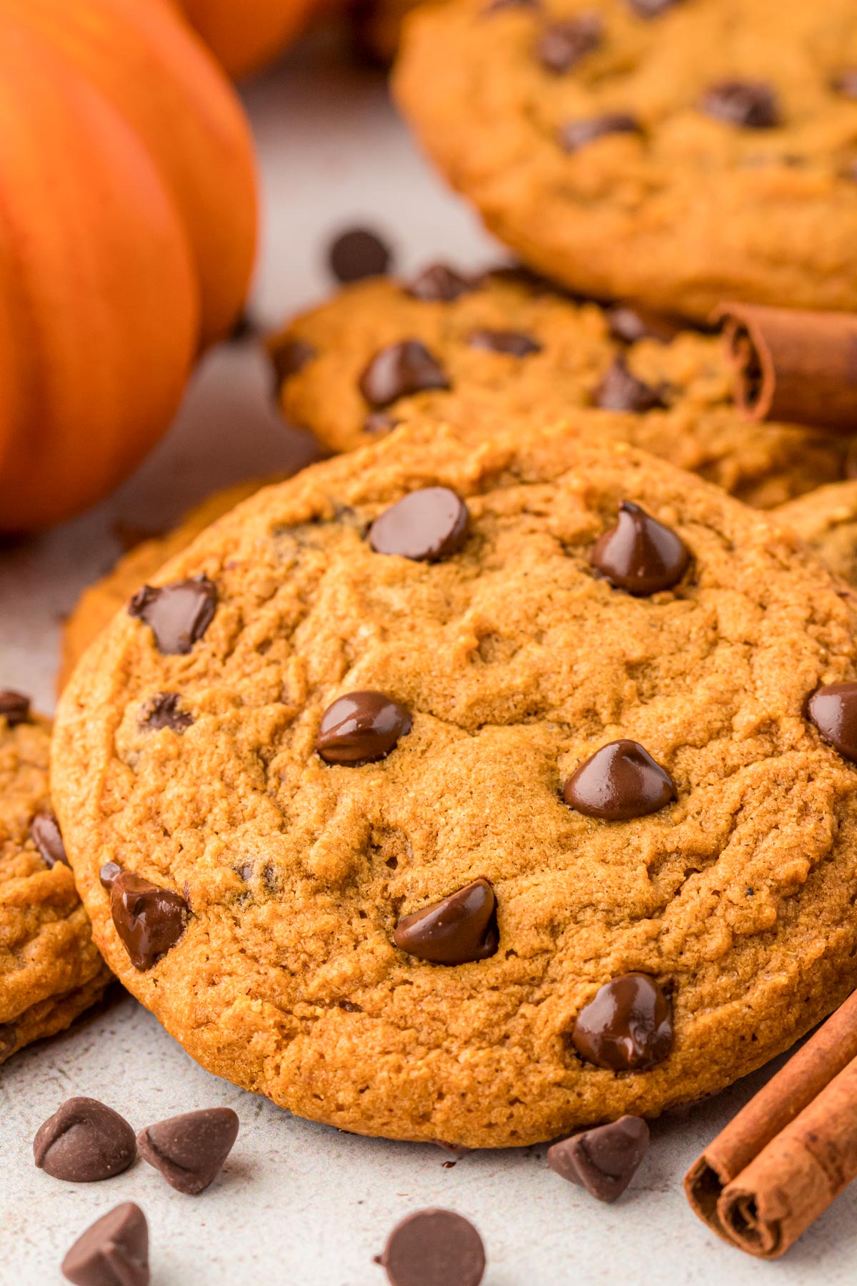 Close up of a pumpkin chocolate chip cookies.