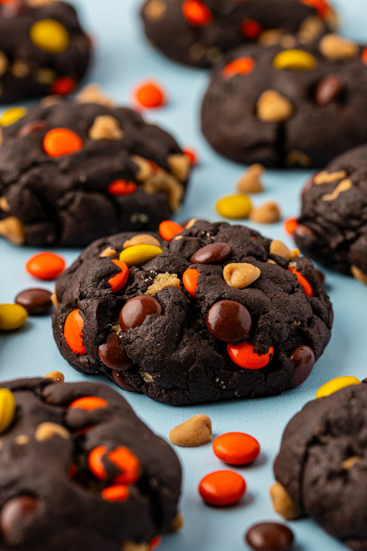 Close up of a chocolate cookie loaded with peanut butter chips and Reese's Pieces.