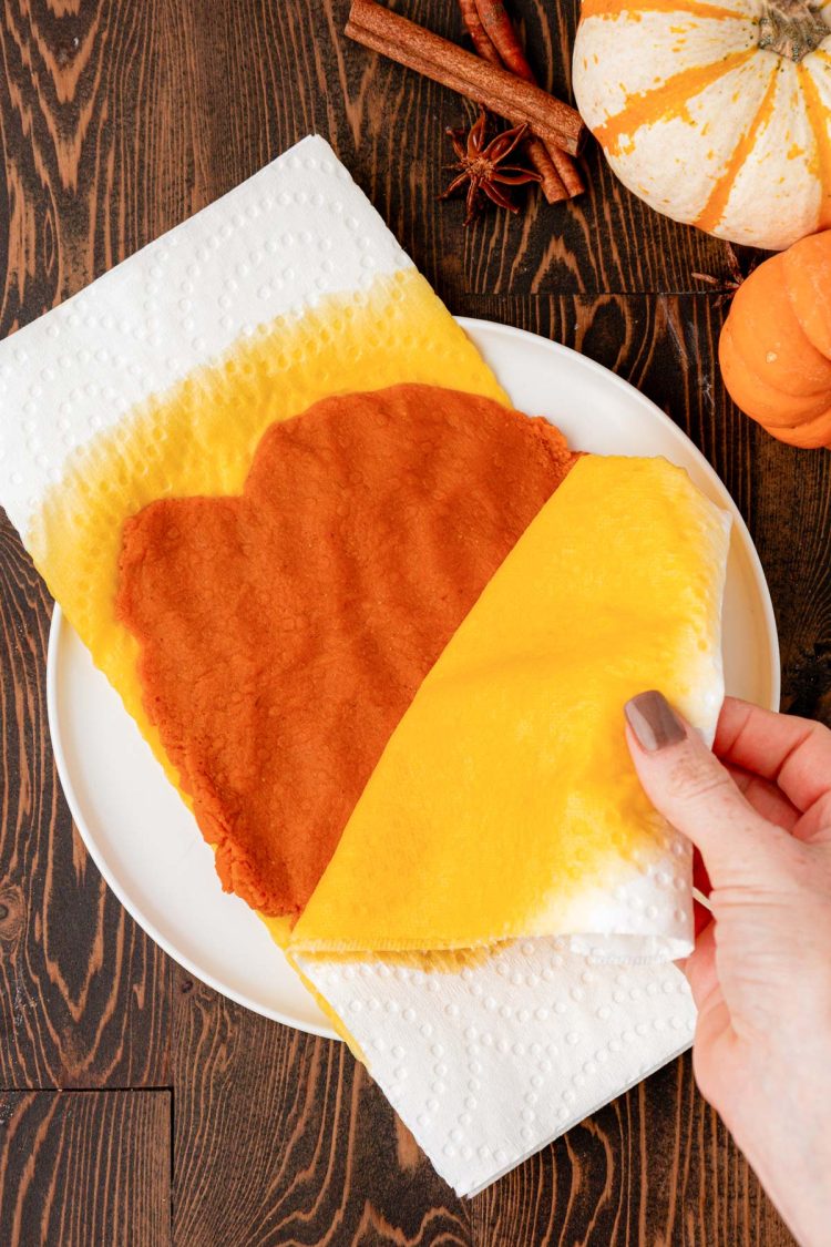 Pumpkin puree being spread out on towels to reduce moisture.