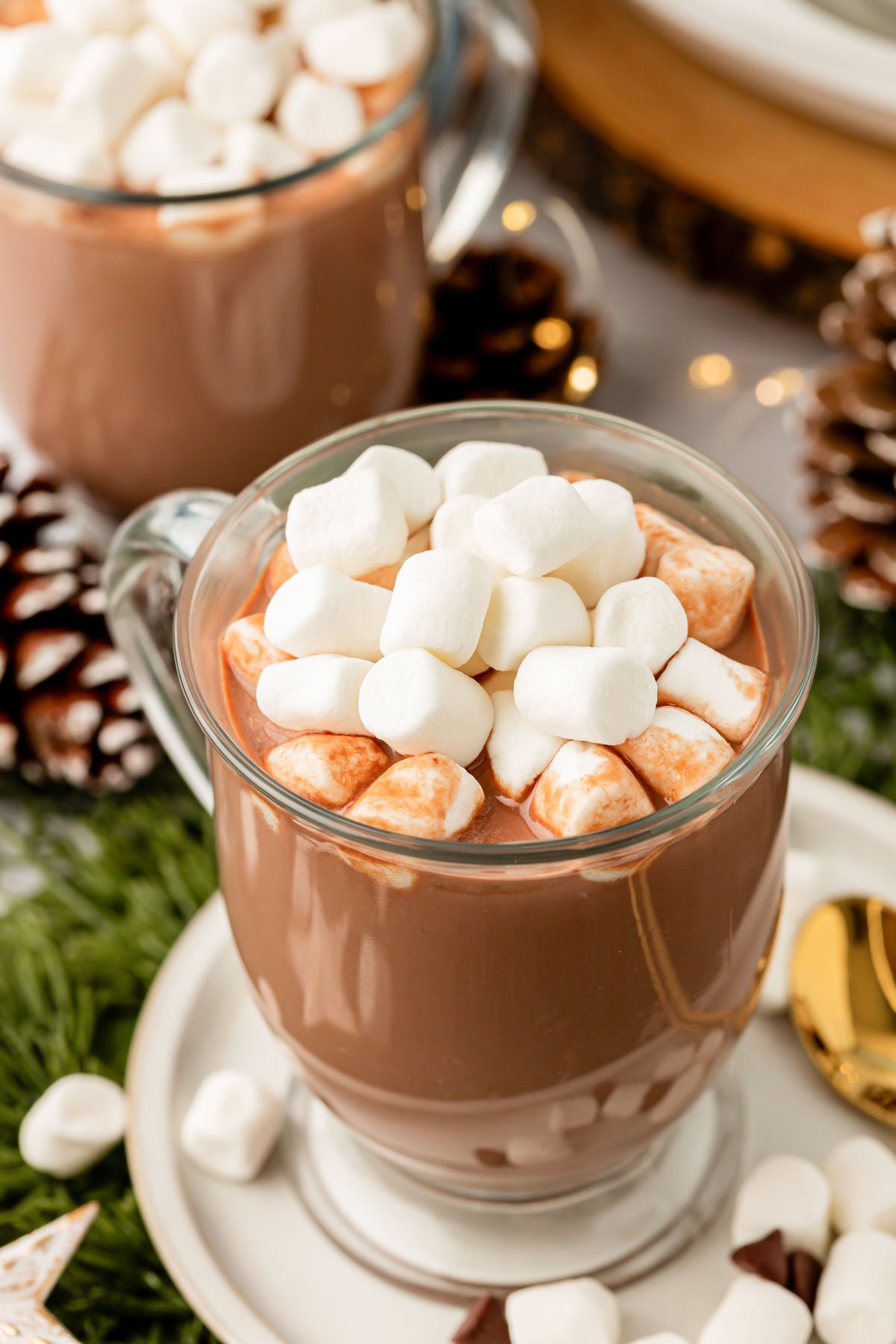 Close up of a mug of hot cocoa.