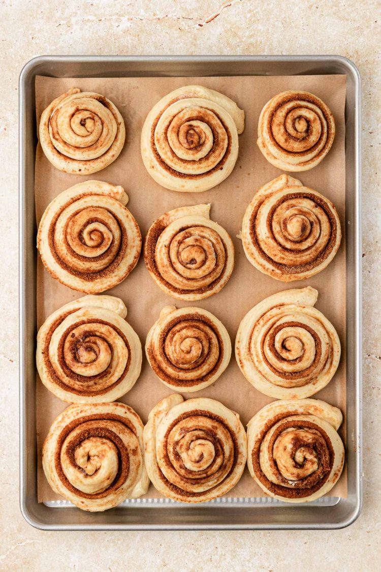 Cinnamon rolls in a pan ready to proof.