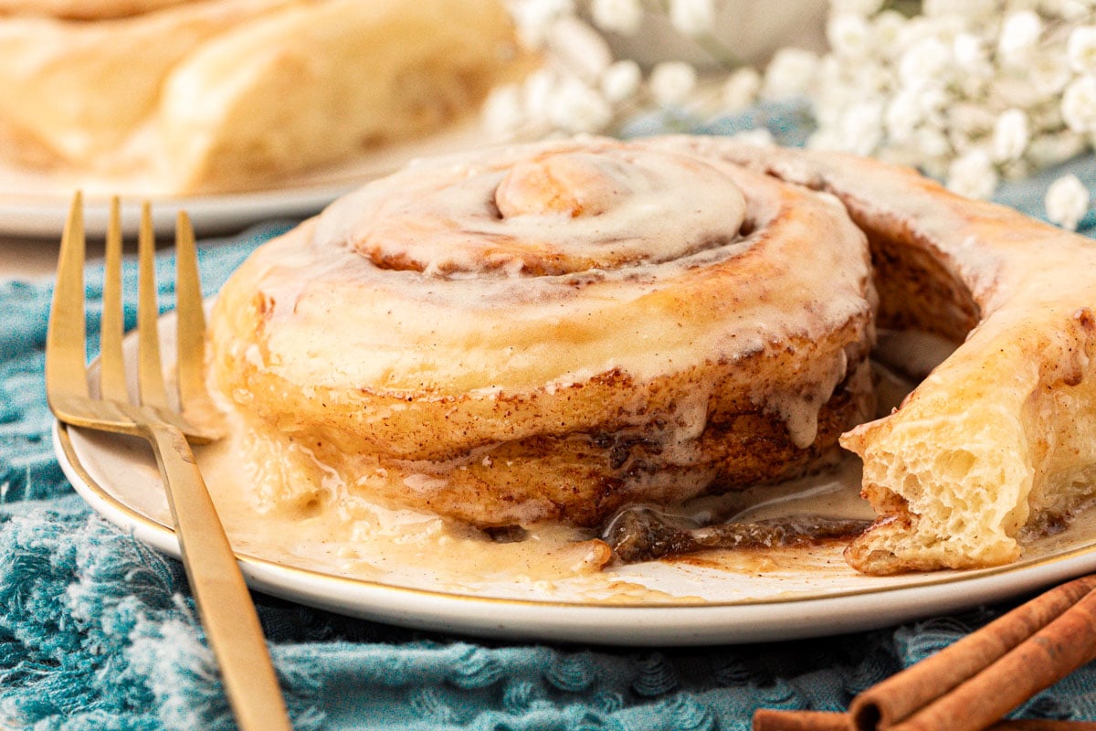 Close up of a large cinnamon roll on a white plate.