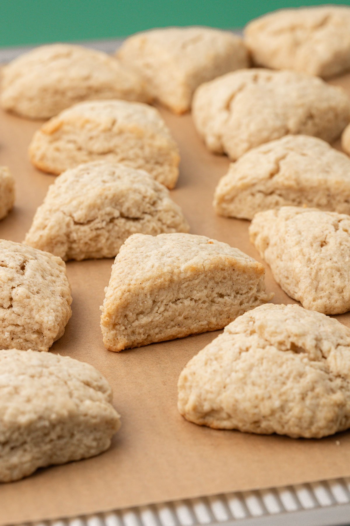 Baked mini vanilla scones on a parchment-lined baking pan.