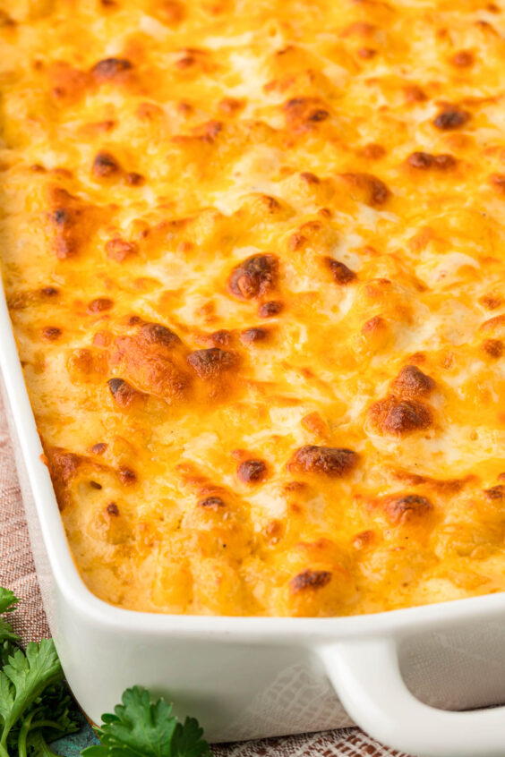 Close up of a baked mac and cheese.