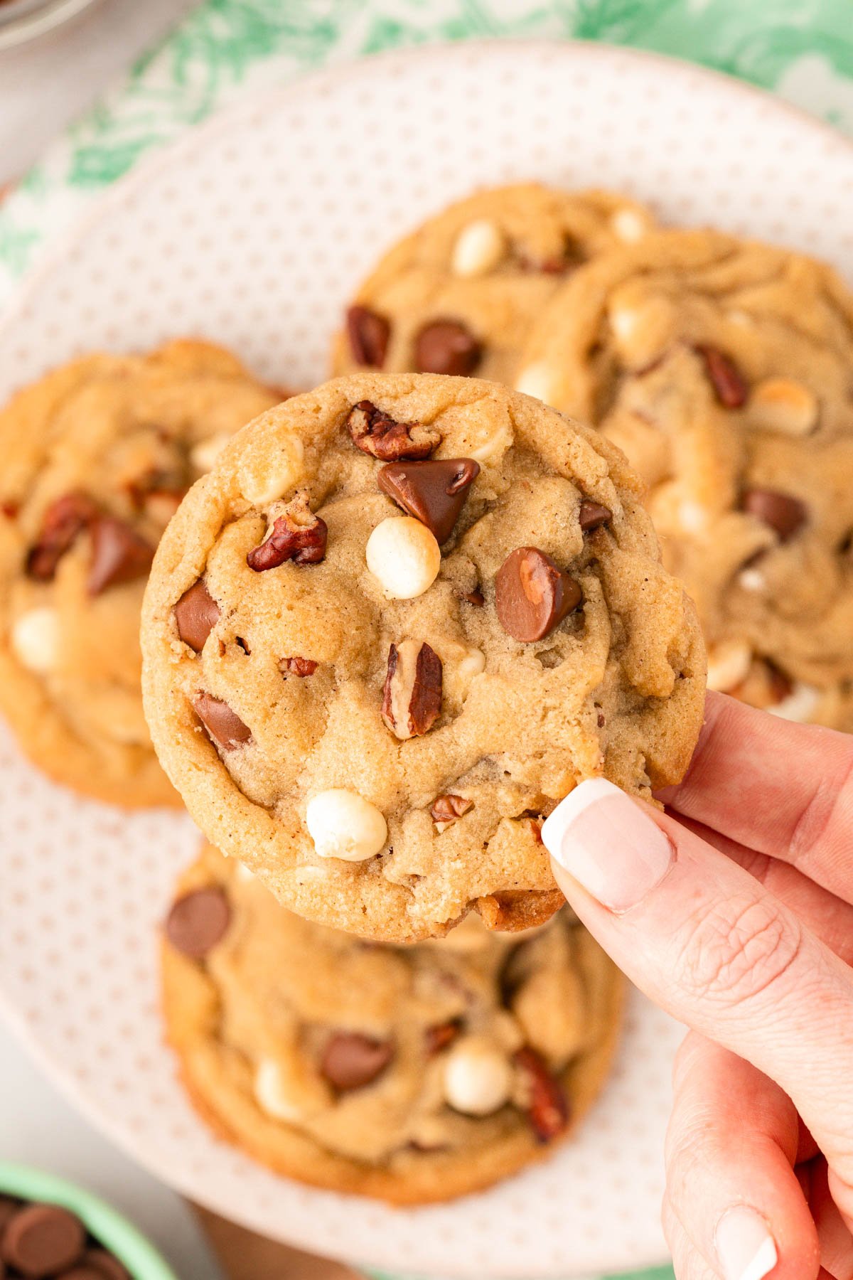 A woman's hand holding a cookie to the camera.