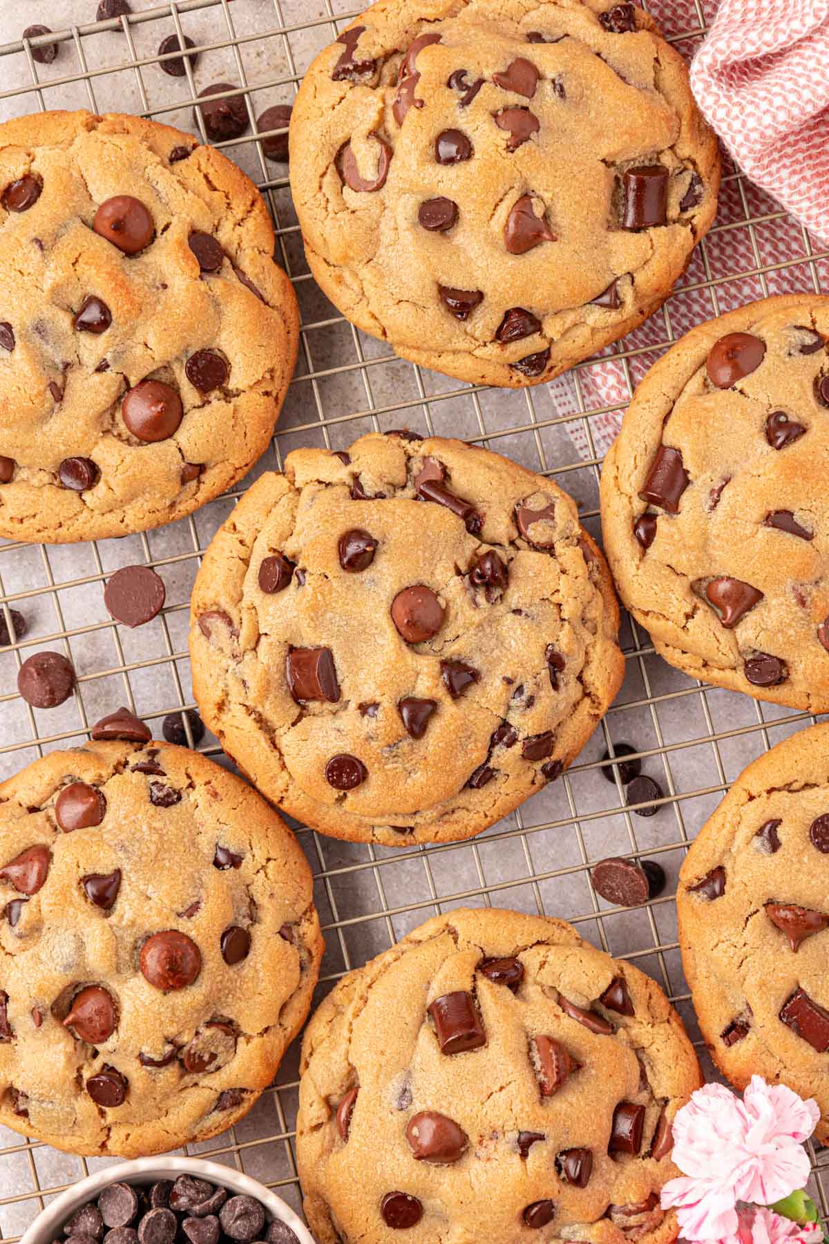 Close up of 7 large peanut butter chocolate chunk cookies on a wire rack.