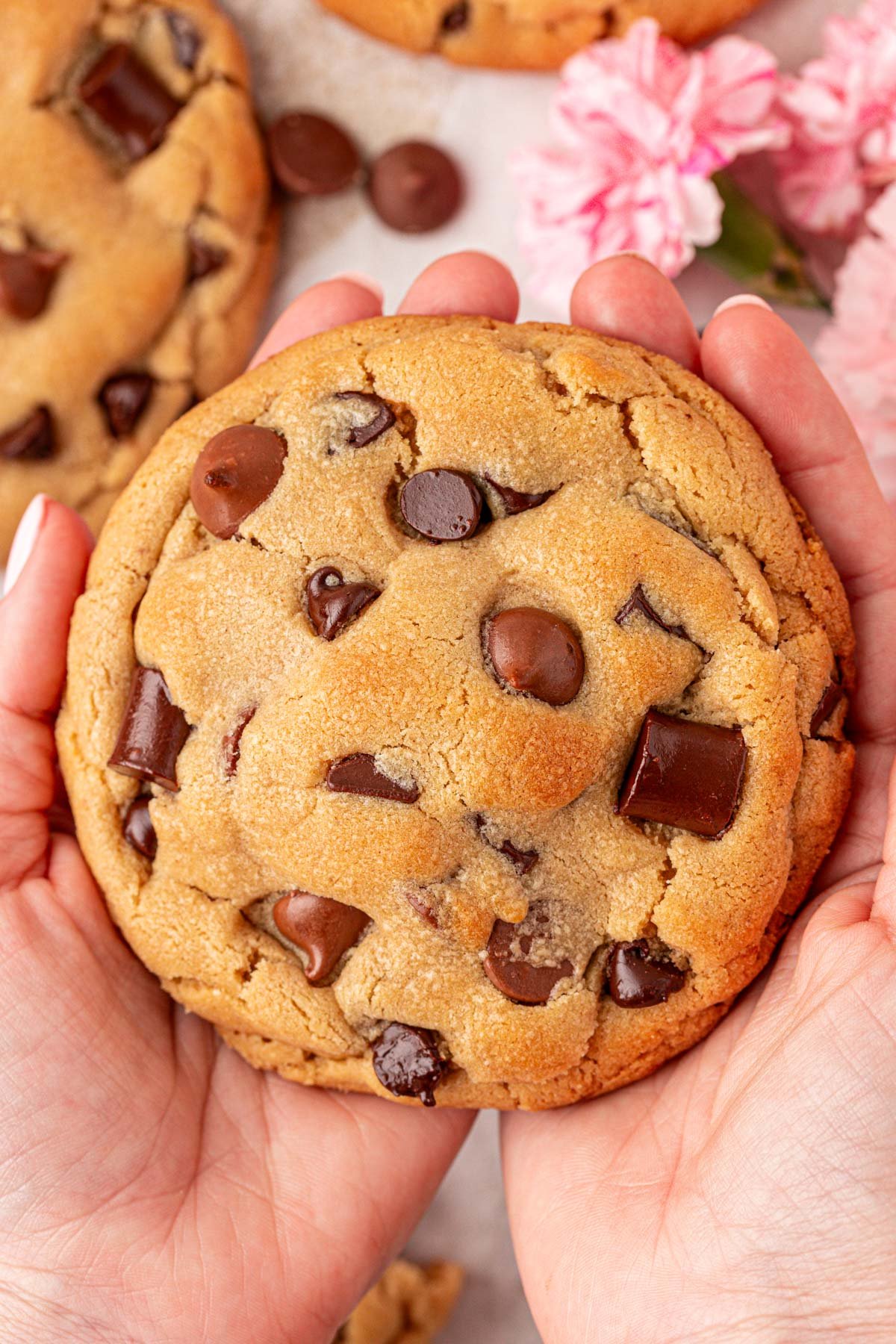 A woman's hand holding a copycat version of Nancy B's Bakery cookies.