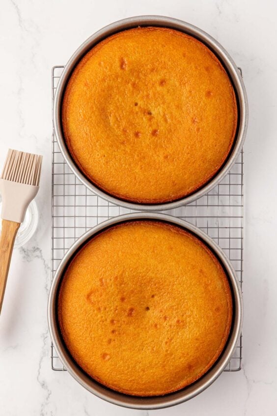 Two baked vanilla cakes in pans on a wire rack.