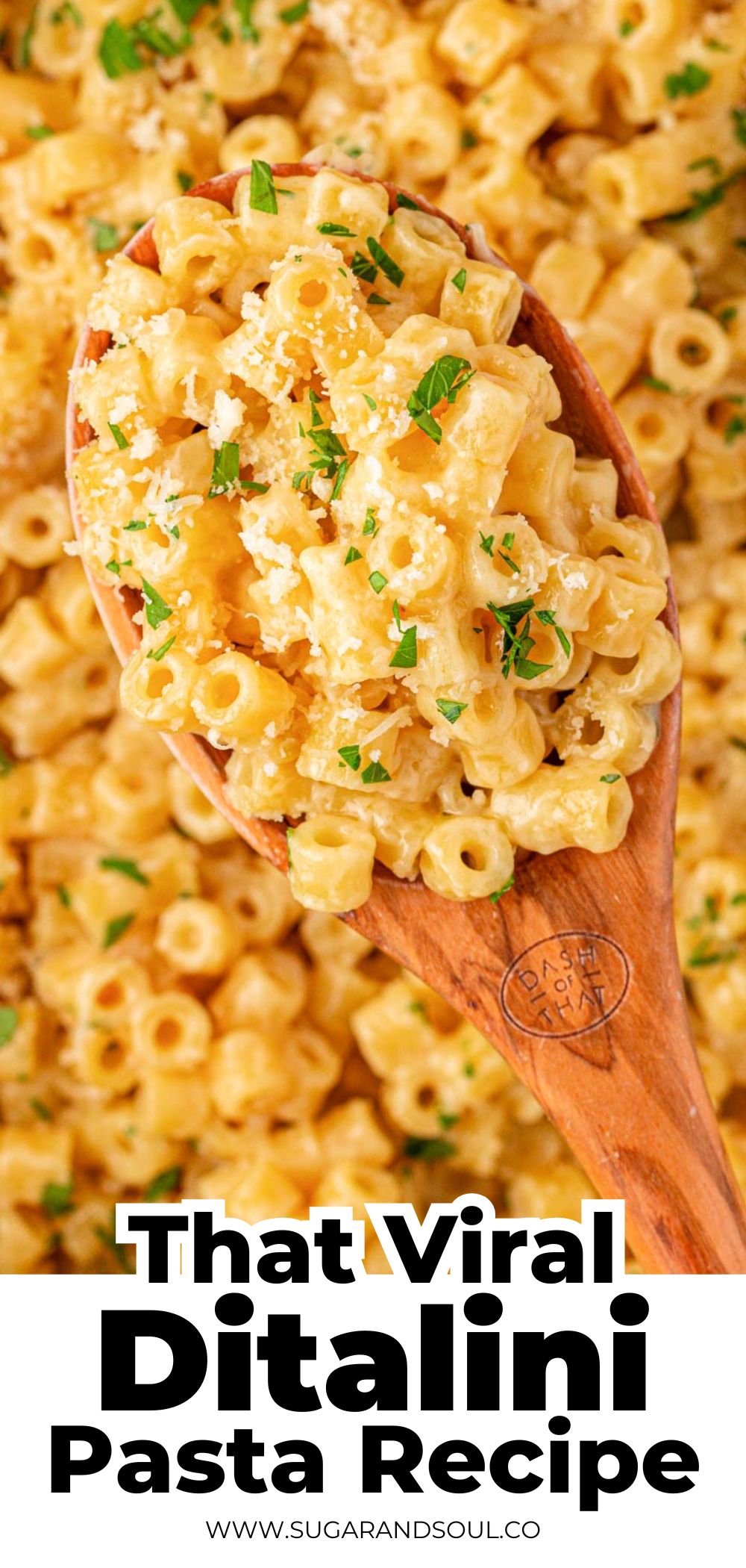 That Viral Ditalini Pasta Recipe is a mouthwatering, savory dish that's brimming with comfort-food vibes! This 15-minute one-pot dish is perfectly cooked al dente pasta that's smothered in a creamy butter sauce that's packed with garlic flavor! via @sugarandsoulco
