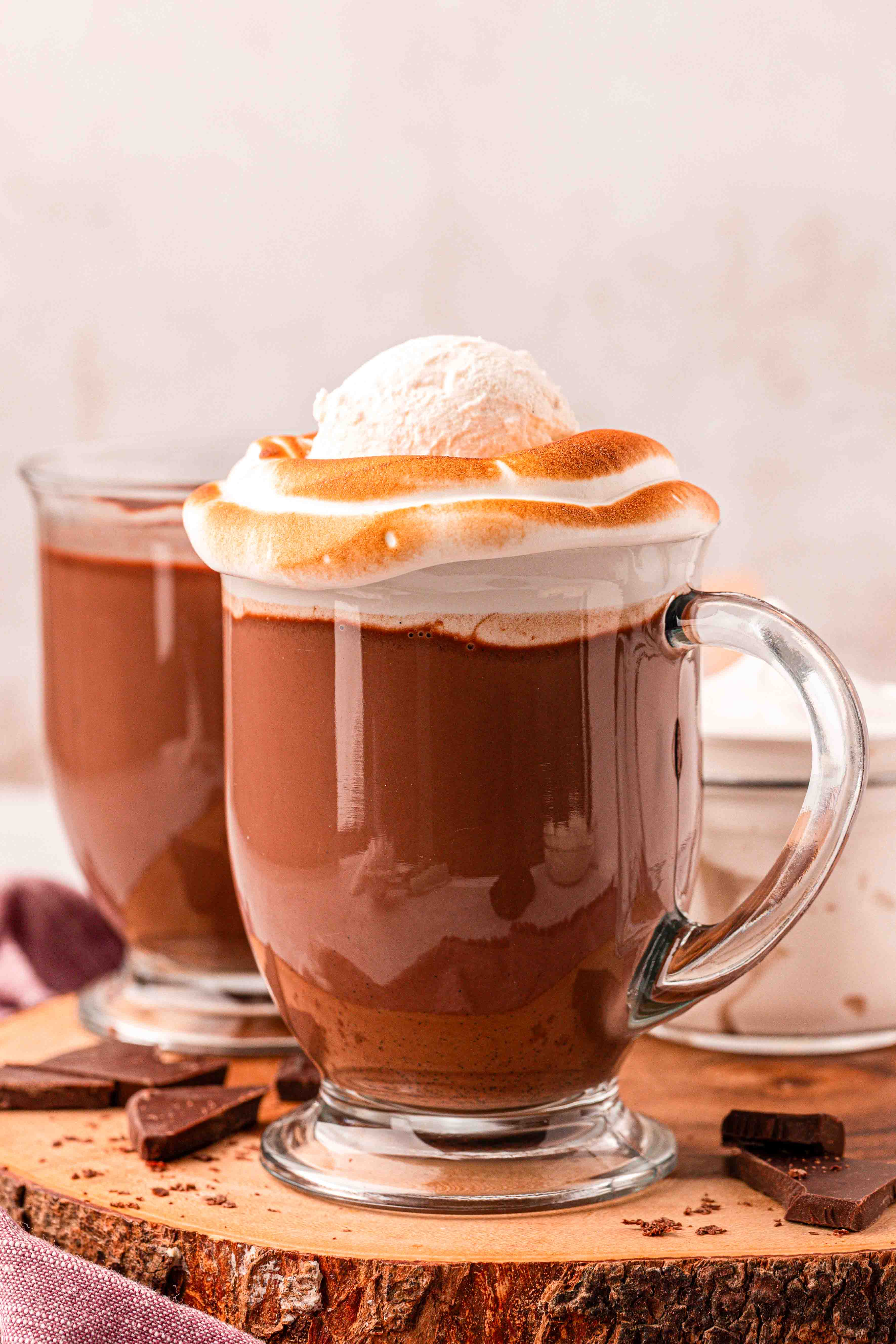 A mug of hot chocolate with toasted marshmallow fluff and whipped cream on top.