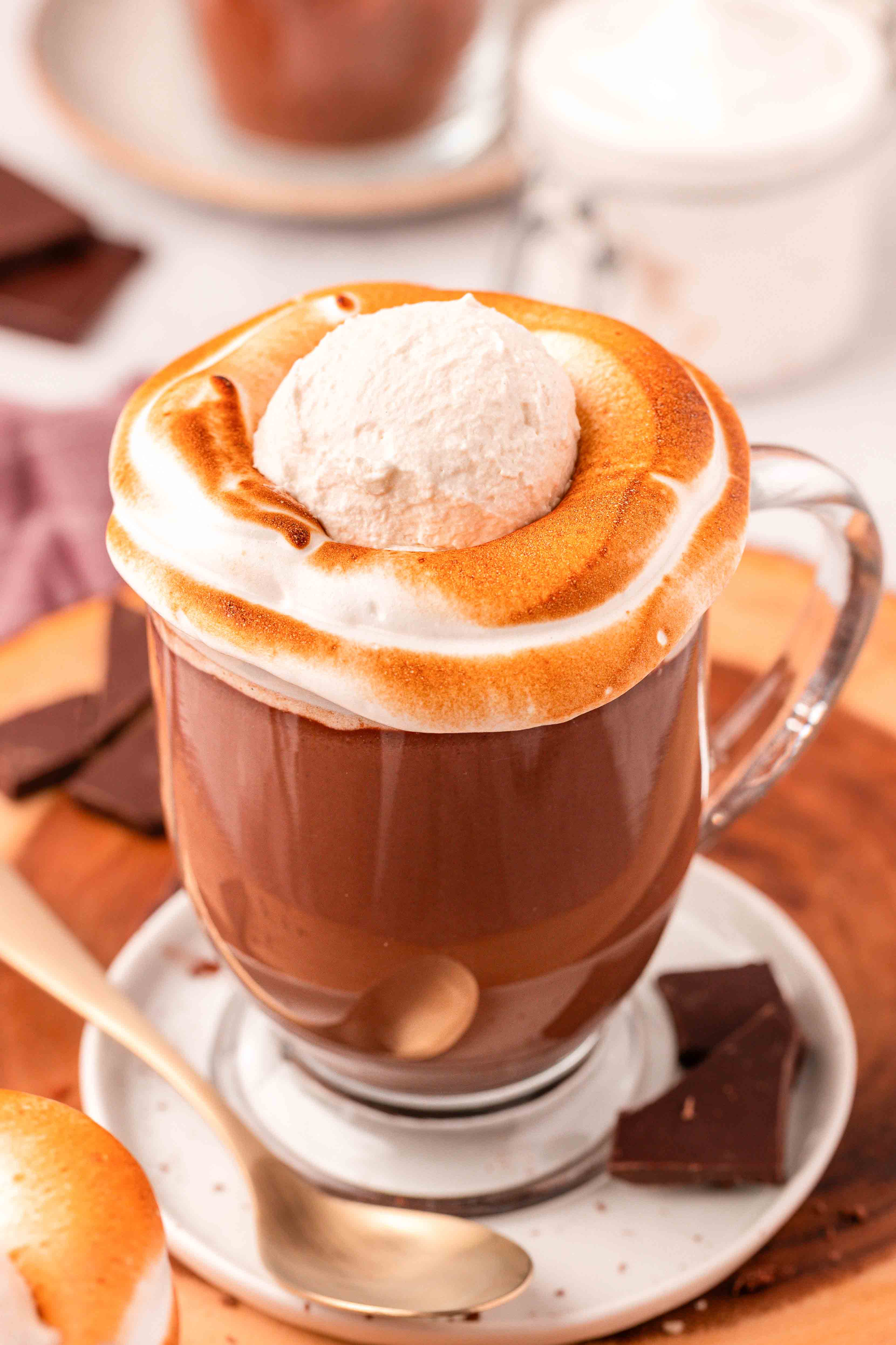 Close up of a mug filled with hot chocolate and topped with toasted fluff and whipped cream.
