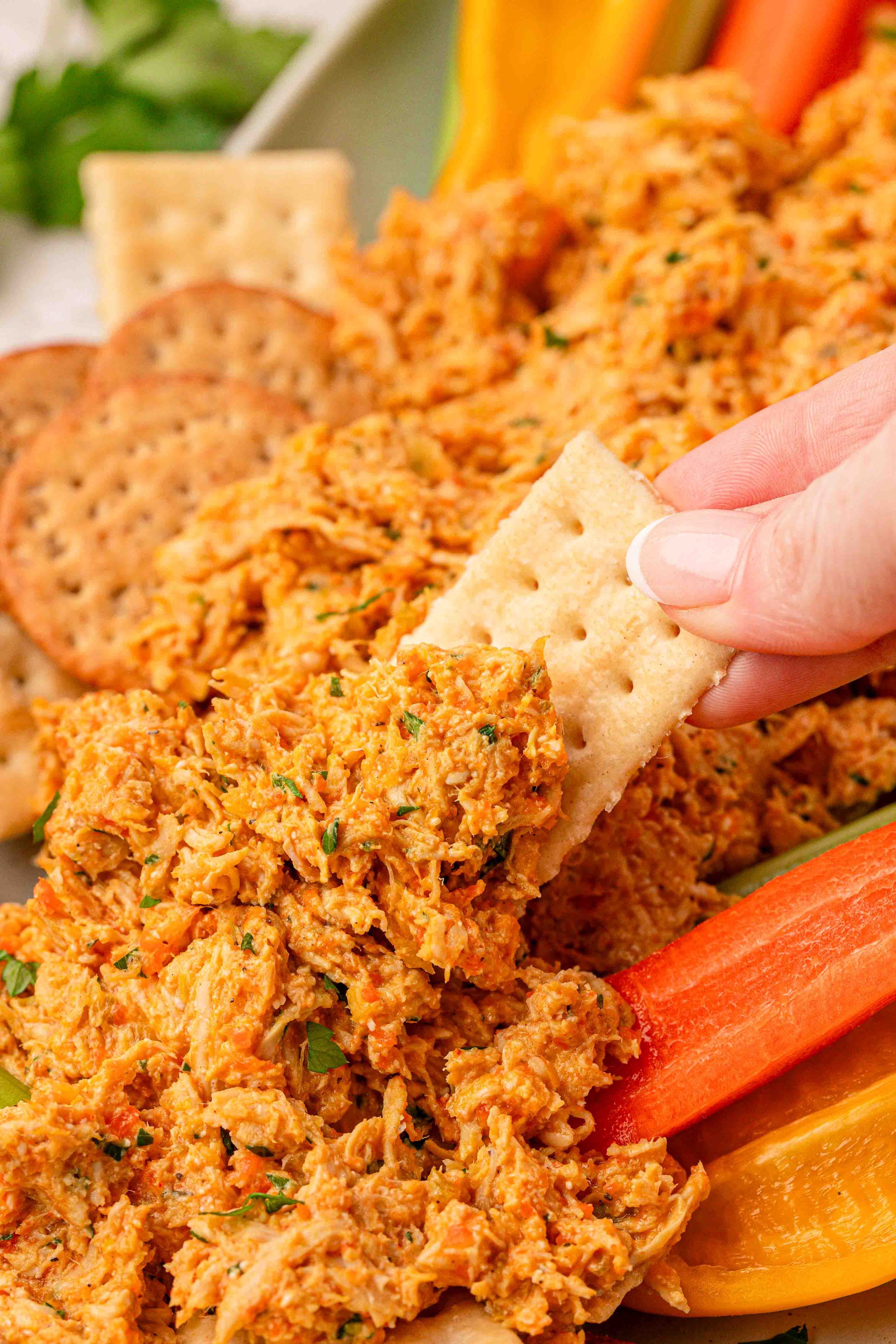 Chicken Soup Chicken Salad being dipped into with a cracker.